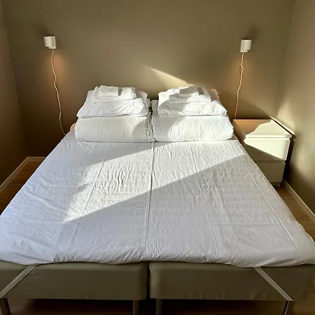 Modern 204 *